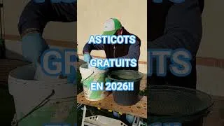 Miniature : ASTICOTS GRATUITS, ÇA CONTINUE EN 2026!!! (TUTO DISPO SUR MA CHAÎNE !!!)😉