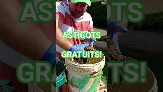 Miniature : Les asticots GRATUITS, C'EST FACILE!!