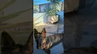 Miniature : Levé et couché de soleil à Djerba le 24 décembre 25