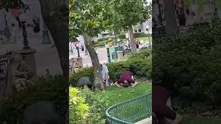 Miniature : Trois hommes ont été vus en train de faire la prière à Disneyland Paris #france #disneylandparis