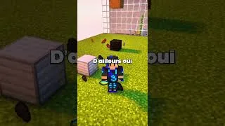 Miniature : 3 CHOSES QUE TU N’AS JAMAIS VU SUR MINECRAFT !