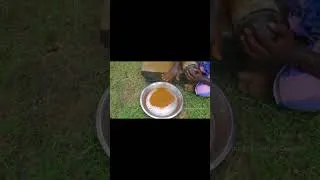Miniature : Learn the Art of Wilderness Cooking with Chili Peppers! 1