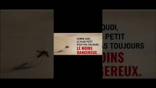 Miniature : Quel est l'animal le plus dangereux pour l'homme ? #viral  #trending