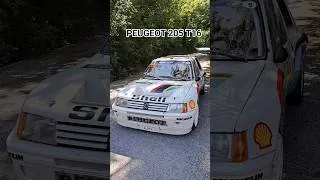 Miniature : Peugeot 205 T16