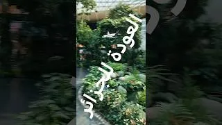 Miniature : العودة للجزائر 🇩🇿 من مطار حمد بالدوحة 🇶🇦
