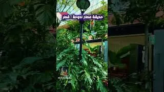 Miniature : زيارة لأحد افضل مطارات العالم 🇶🇦 مطار الدرحة في قطر