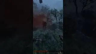Miniature : It was at this moment he knew, he screwed up!
