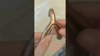 Miniature : Le clitoris grand oublié des manuels scolaires et du dictionnaire ...