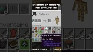 Miniature : Enfin Fool Netherite #minecraft #gaming #minecraftbuilding