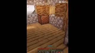 Miniature : What the heck bro ???? #minecraft #gaming #gamer #cat