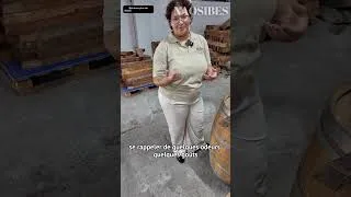 Miniature : Voici comment vous devriez déguster un rhum aux antilles