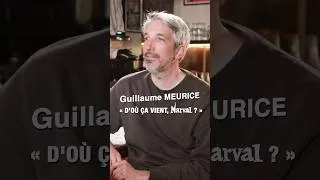 Miniature : "D'où ça vient, Narval ?" @guillaumemeurice dans l'interview barrée de Narval #humour #interview