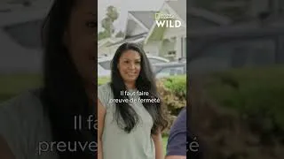 Miniature : Ce chien surexcité est comme possédé !