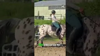 Miniature : Adapter votre posture aux allures de votre cheval 🎵5