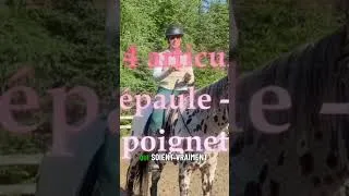Miniature : Alignement parfai des brast  astuces pour cavaliers 🐎2