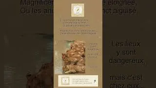 Miniature : 6  - La terre est couleur terre