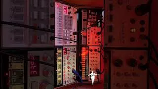 Miniature : NiaC - Volca jam #synth #niac #synthwave #electronicmusic #synthesizer #music
