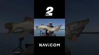 Miniature : Action de pêche du brochet en sharpshooting #navicom #sharpshooting #megalive2 #live #humminbird