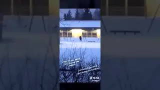 Miniature : Vous voyez cet enfant de dos ou de face ?🤔