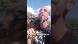 Miniature : TON CHIEN NE SAIT PAS ! #chien #dog #dogs #dogshorts #dogvideos #malinoisbelga #malinoislovers