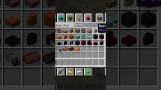 Miniature : Oe Oe 8 hein mdrrr  #drôle #minecraft #gaming #minecraftshorts #humour
