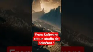 Miniature : Est ce que From Software abuse ?