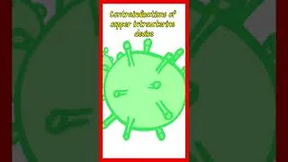 Miniature : contraindication of the copper intrauterine device #shorts #mirena #contraception