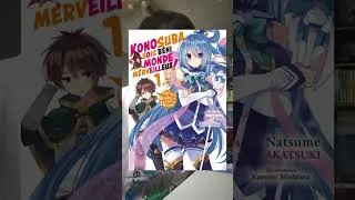 Miniature : Mon premier Light Novel en français