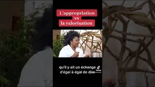 Miniature : L’appropriation vs l’appreciation culturelle | Nelly Wandji