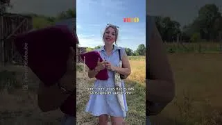 Miniature : L'administration à la campagne 🤣
