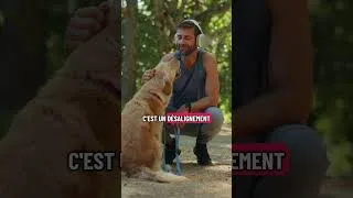 Miniature : On t’a menti sur la maîtrise personnelle…Voici le vrai problème.