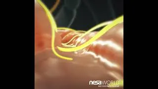 Miniature : Prenez Soin de Votre Bien-être : Découvrez la Puissance du Dispositif Médical XSIGNAL  #science