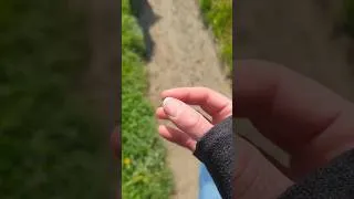 Miniature : Sa Ta Na Ma 🐦‍🔥