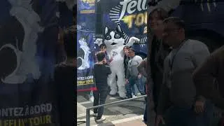 Miniature : 35 ans que notre marque Félix® accompagne le quotidien de millions de chats en France #FelixTour