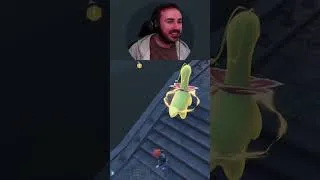 Miniature : Mon 1er Shiny sur ZA est un Magicarpe !