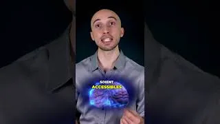 Miniature : Pourquoi le cerveau est si complexe ?
