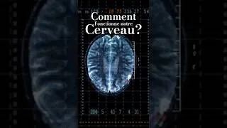 Miniature : Les Secrets du Cerveau ENFIN révélés ! 🧠🔥 #neuroscience #cerveau #brain #science