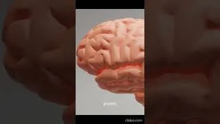 Miniature : How to treat a stroke #neuroscience #neuroscientist