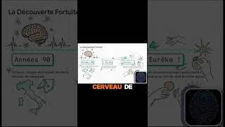 Miniature : La découverte qui a tout changé #substack #shorts