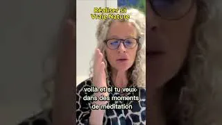 Miniature : La réalisation de notre vraie nature - Ellen Emmet (extrait)  #méditation #conscience #advaita