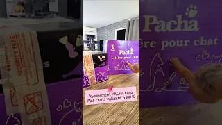 Miniature : Mes 4 loulous valident la Litière Pacha + leur sac de croquettes 😻