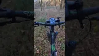 Miniature : single ,VTT , vttae ,poto , famille égale bonne après midi