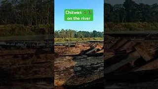 Miniature : Pirogue Ride in Chitwan National Park 🇳🇵 | Nepal Jungle Wildlife on the River #chitwan #nepal #river
