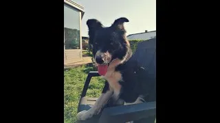 Miniature : Dolce - Bestfriend 27/08/202