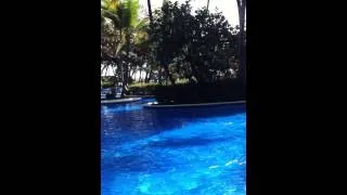 Miniature : La piscine de Punta Cana