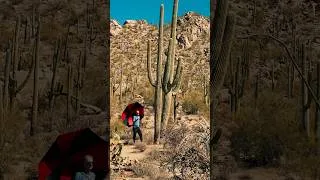 Miniature : Le parc des cactus géants d'Arizona 🌵 #shorts"
