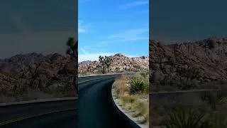 Miniature : Visiter Joshua Tree en 1 jour : tout ce qu'il faut savoir ✅ #joshuatree #shorts