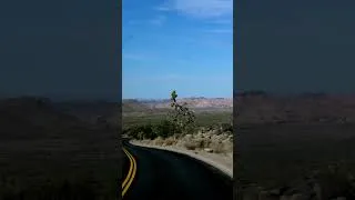 Miniature : Comment visiter Joshua Tree National Park 🌵