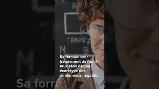 Miniature : Sortino Ratio : mesurer la performance ajustée au risque de baisse 📉💡 #trading #finance