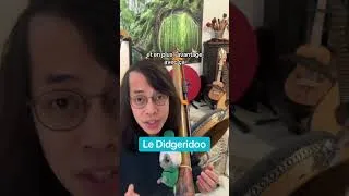 Miniature : Le didgeridoo, un instrument accessible et magique #didgeridoo